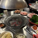 스테고사우루스-1 이미지