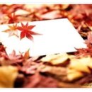 편지요~ 이미지