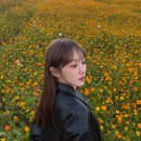 백조세탁소 이미지