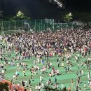 몰려든 인파로 무산된 손흥민 조기 축구 이미지