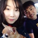 개포별빛동물병원 이미지