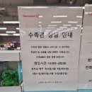반려와 | 홈플러스 금천점 물고기 가격 및 반려동물 용품 후기