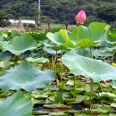 상리공원 이미지