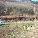 신세기공인중개사사무소 이미지