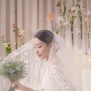 남산꽃화원 이미지