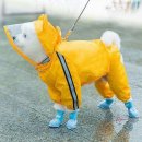 견우애견 이미지