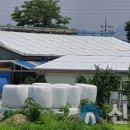 양주축산 이미지