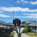 폭낭 올레집 이미지