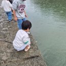 궁평리어촌체험휴양마을 | [궁평항 5살 아이랑 가볼만한곳] 어린이 낚시 체험- 망둥어