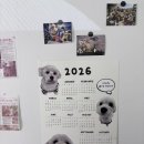 우리집강아지 | 새해 맞이 우리집 강아지로 만든 내돈내산 2026 맞춤 달력 후기