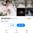 [결혼준비4] 열정 그득! 본식스냅♡칼라앤라운지 Calla n lounge 계약 후기 (추천인)