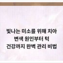 서울치과 - 마포구 마포대로 179 | 서울치과