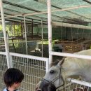 대경목장 이미지