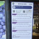 영천 경주김씨 지사공종택 | 영천 임고 수성리(구만마을) - 임고 능선 - 운주산 승마 자연휴양림 - 임고 황강리[2023년 4월 8일(토)]