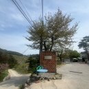소우주 이미지