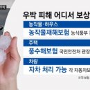 덴트천재 이미지