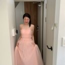 푸린이네 | Floneu 플로뉴 비엔나드레스 / 푸린드레스 L사이즈 구매 후기 (판매완료)💗 + 푸린드레스 착용샷 있어요!