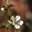 산일민박 이미지