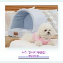 강아지집 | 아기 강아지 전용 사료(스타트) 및 강아지집 구매 후기