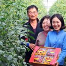 오이씨농장1 이미지