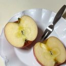 청송농원 | 부사사과 품종 10kg 청송 햇사과 정담아농원 후기