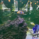 강서구-9 | [서울] 어나더사이드 크리스마스 디저트 포토존 카페(발산&amp;마곡 강서구 대형카페)방문 후기