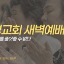 영성일기 2026.08.19.(수)새벽기도회(찬송) 536장 죄짐에 눌린 사람은(성경) 사 8:16-19 남이 문제를 풀어 줄 수 없다 이미지