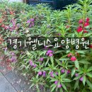 경기웰니스요양병원 이미지