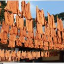 새동변어린이집 이미지