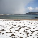 수색초등 이미지