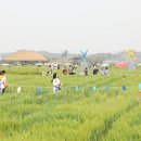 미성동-26 이미지