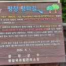 효석문학100리길 제2구간 이미지