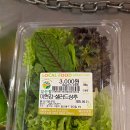 뉴코아아울렛평촌점 이미지