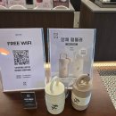 멜팅그릭 | 진주 • 평거동, 안채 • 진양호근처 분위기좋은 카페 그릭요거트 쑥라떼 바닐라젤라또 후기