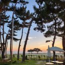 태안 독채 풀빌라 제프리 이미지