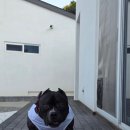 횡성호수펜션 이미지