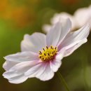 (주)한우물생활건강 이미지