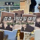 라파라파어린이미래센터학원 | 카페 '경주에서 보냅니다' / 동궁과 월지 야경 / 대릉원 얼굴빵 / 힐튼 호텔 조식 / 노경보차라파 카페