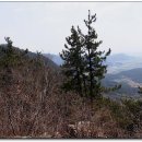청림산업
