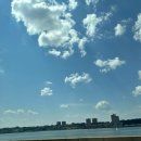 원미동생선가게 | Walden &amp; Washington Heights 월든 &amp; 워싱턴하이츠 &amp; 강변길