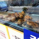 국가대표 꽈배기 네이버블로그