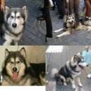 반포1동011 이미지