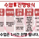 비원 트레이닝 이미지