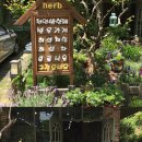 향기가게 이미지