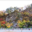 네스트캠핑장 이미지