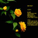 피어날 이미지