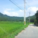 그린 낚시터 이미지