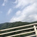 바하마수상레저 이미지