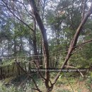 주식회사숲나무 이미지