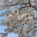 영신숲길3 이미지